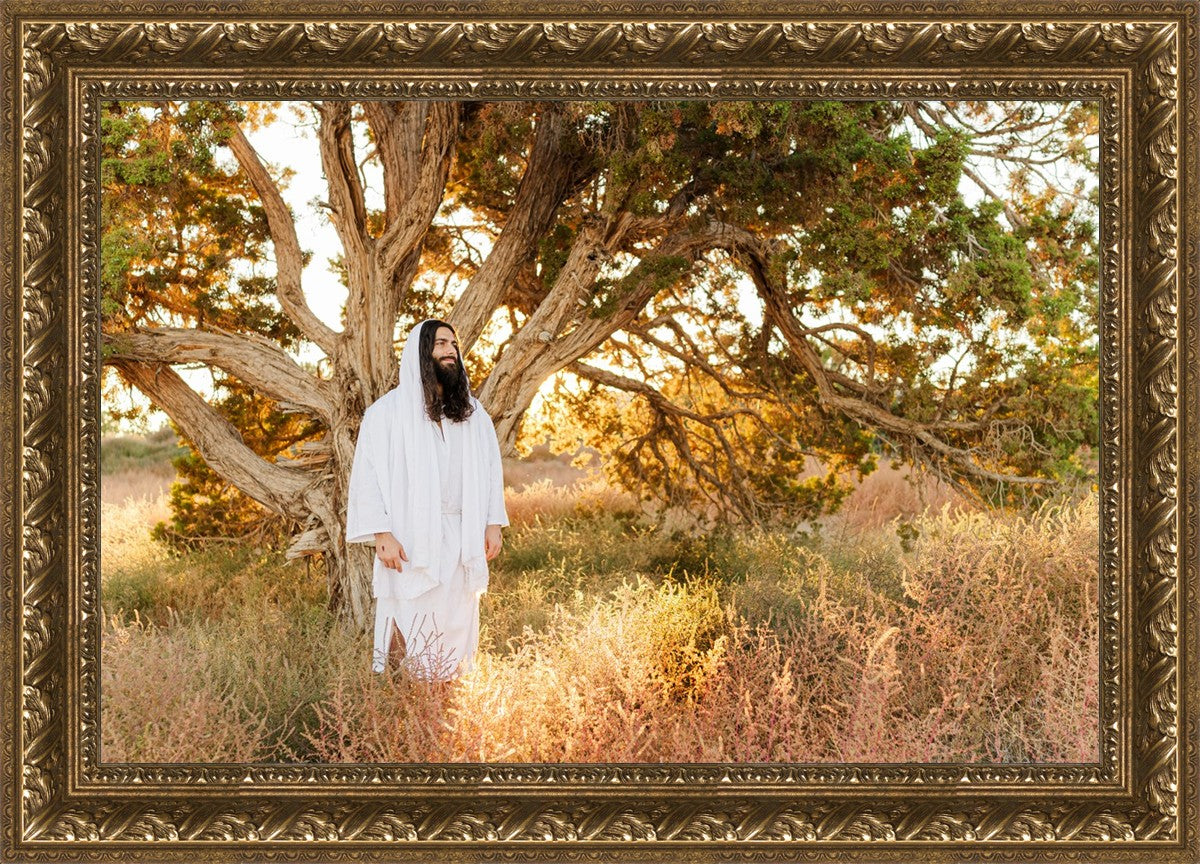 Our Tree of Life