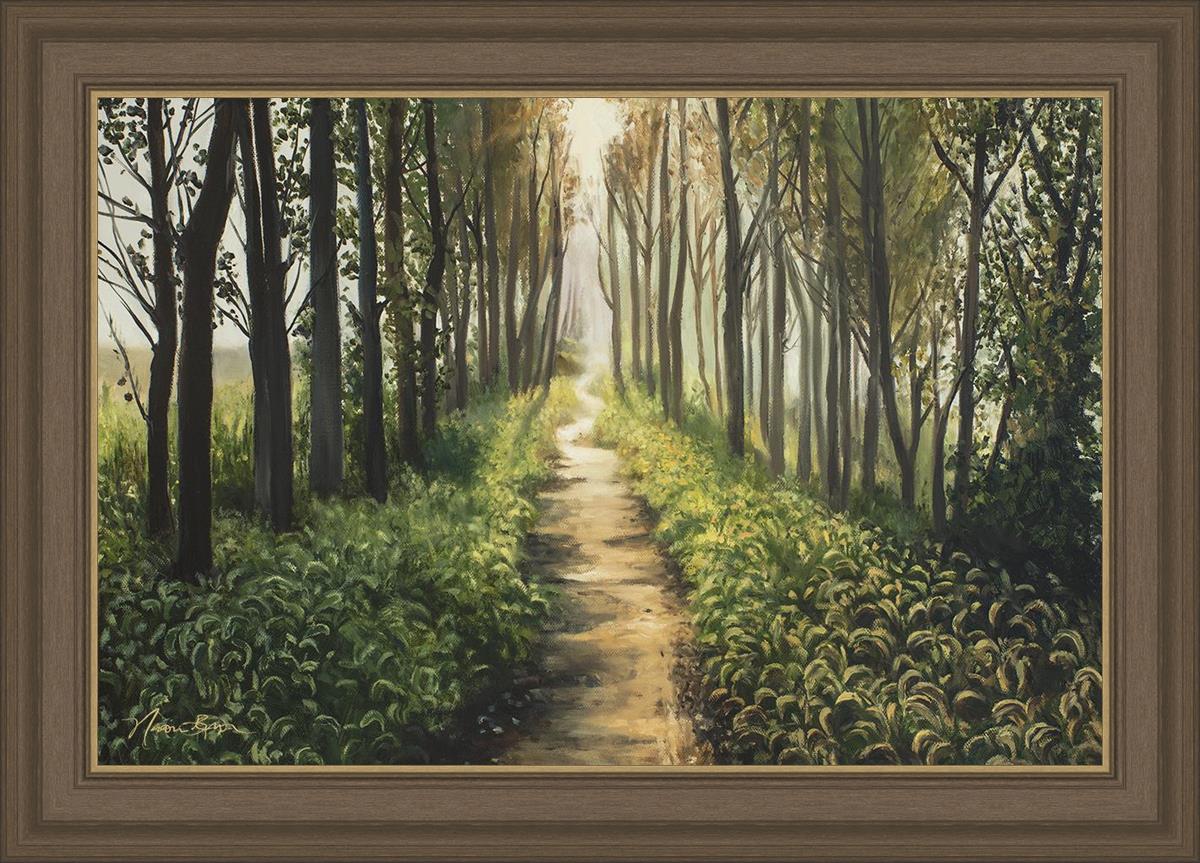 Enjoy The Beauty On Your Broken Path, Forest Walkway