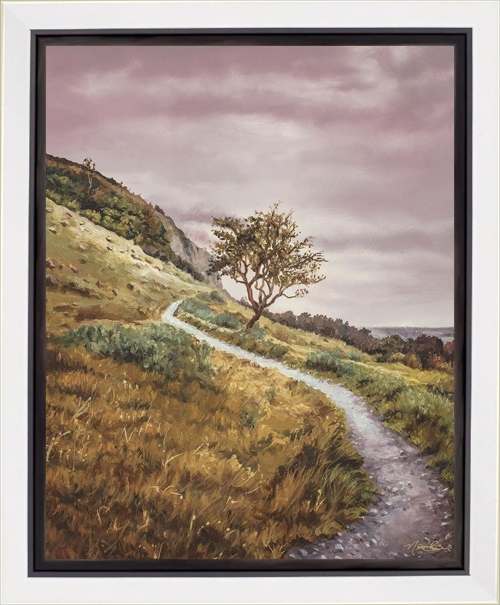 Enjoy the Beauty on your Broken Path Mountain Top