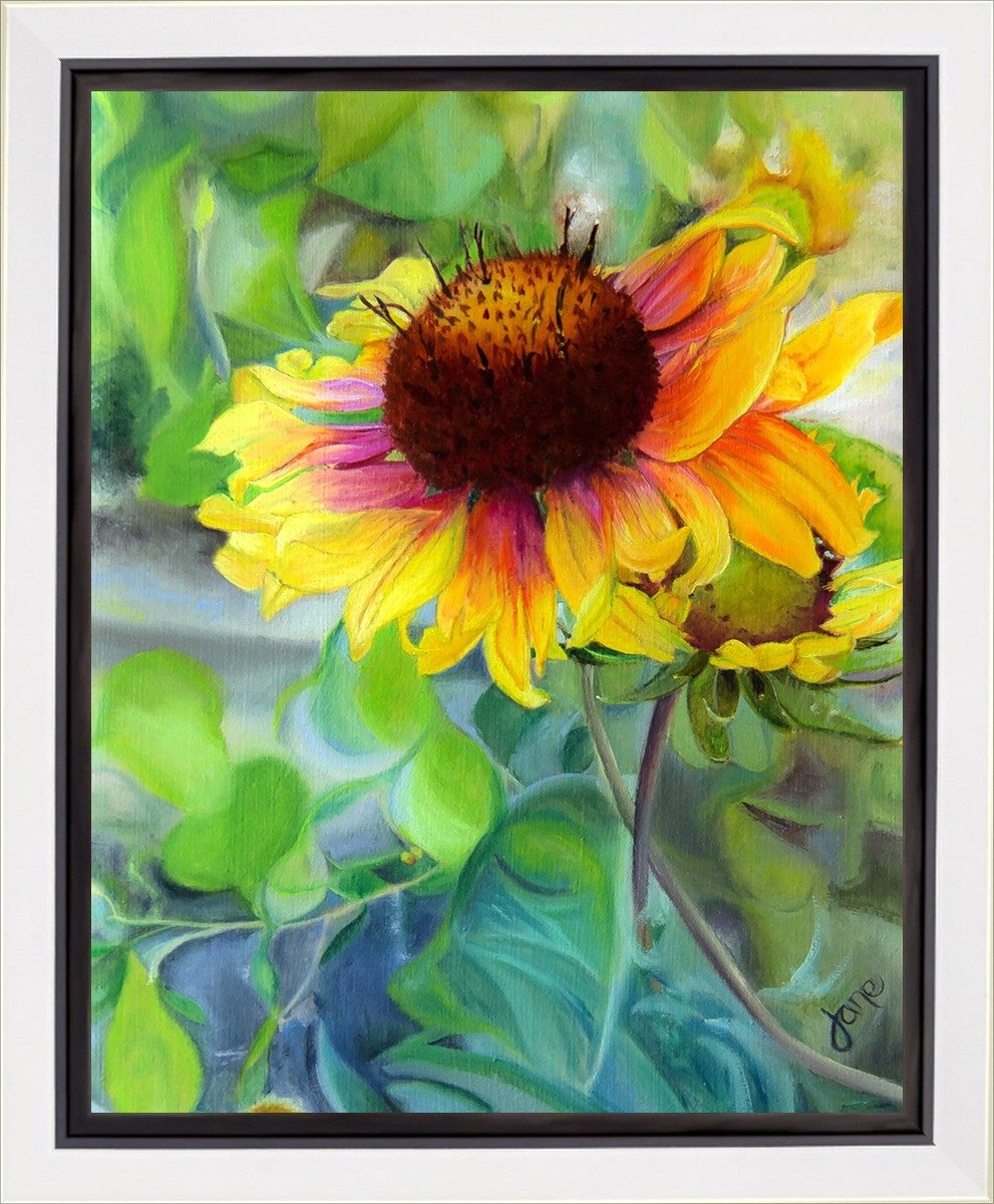 Indian Blanket Flower