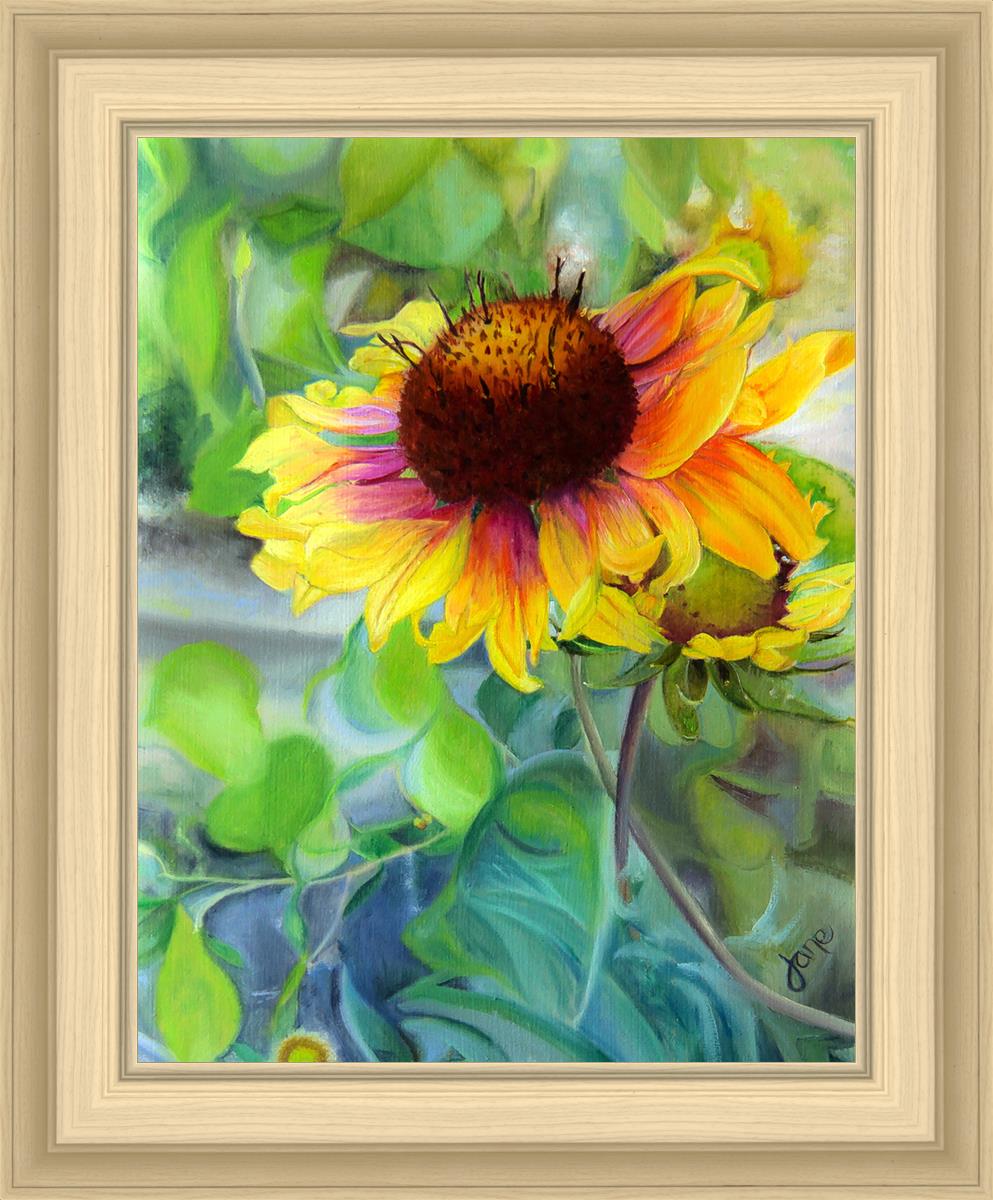 Indian Blanket Flower