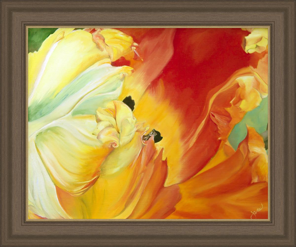 A Tulip for Fiona