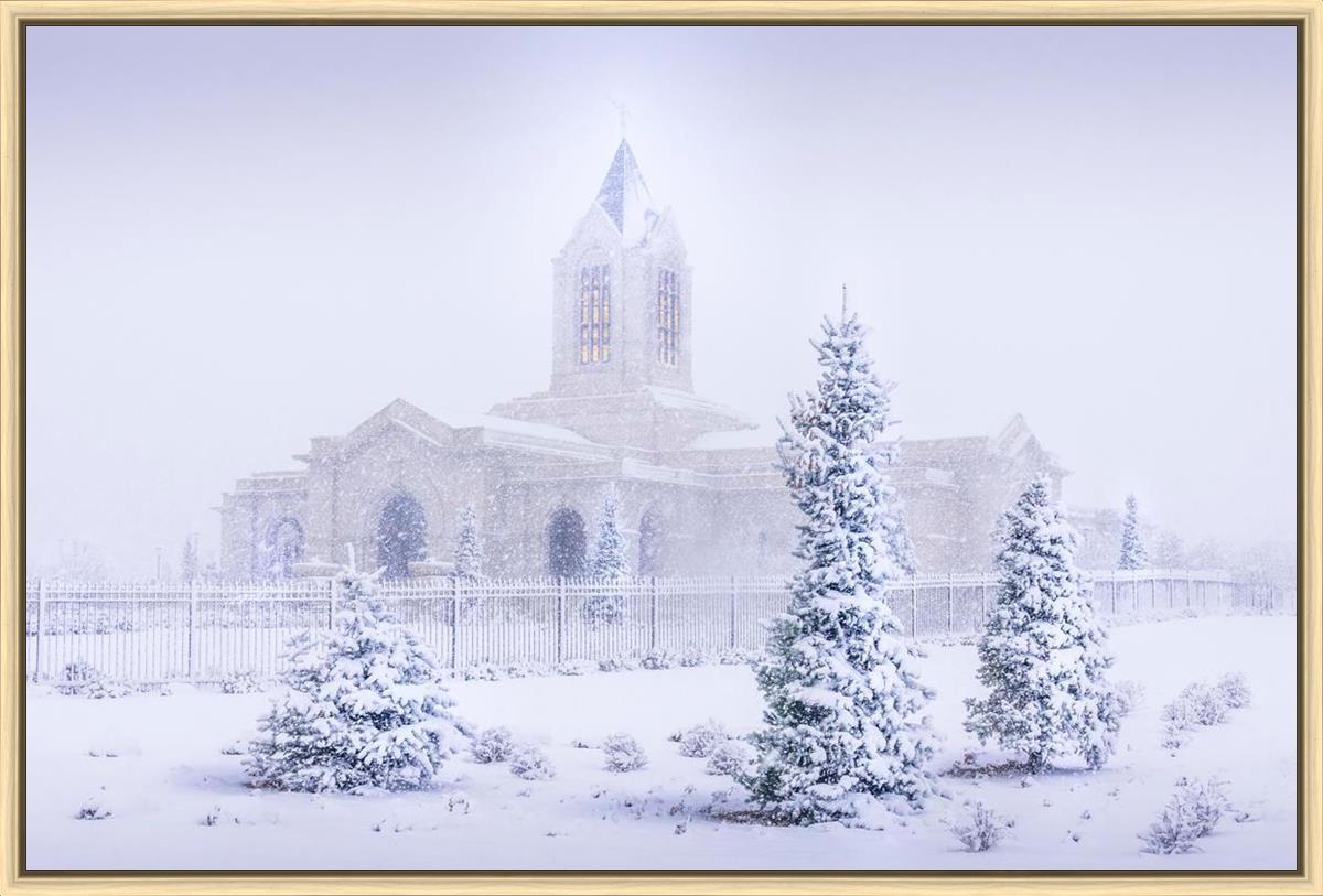 Fort Collins Shelter from the Storm