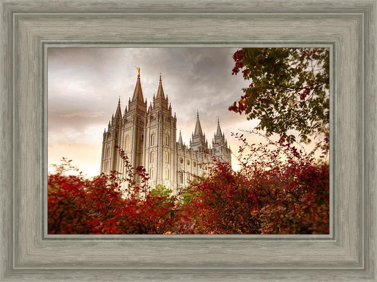 Salt Lake Autumn Trees