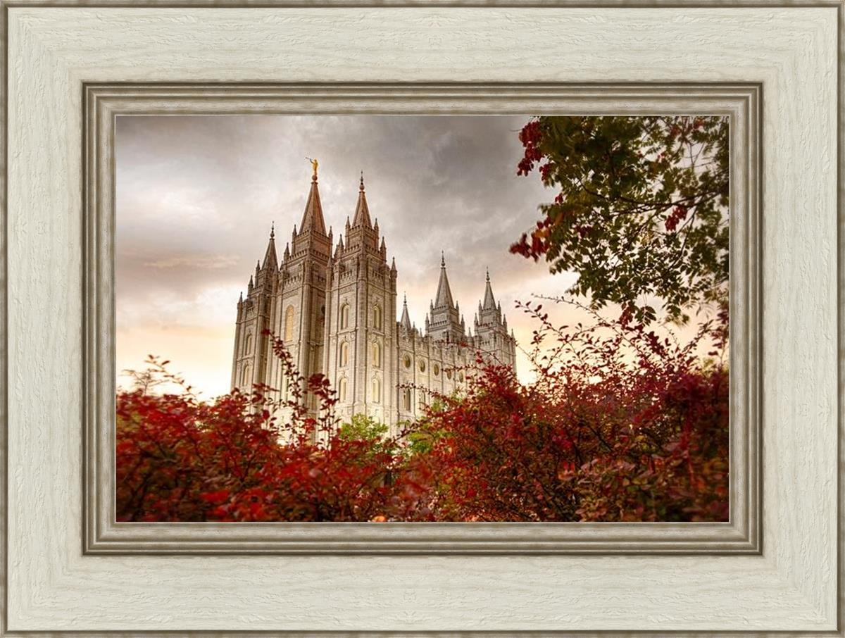 Salt Lake Autumn Trees