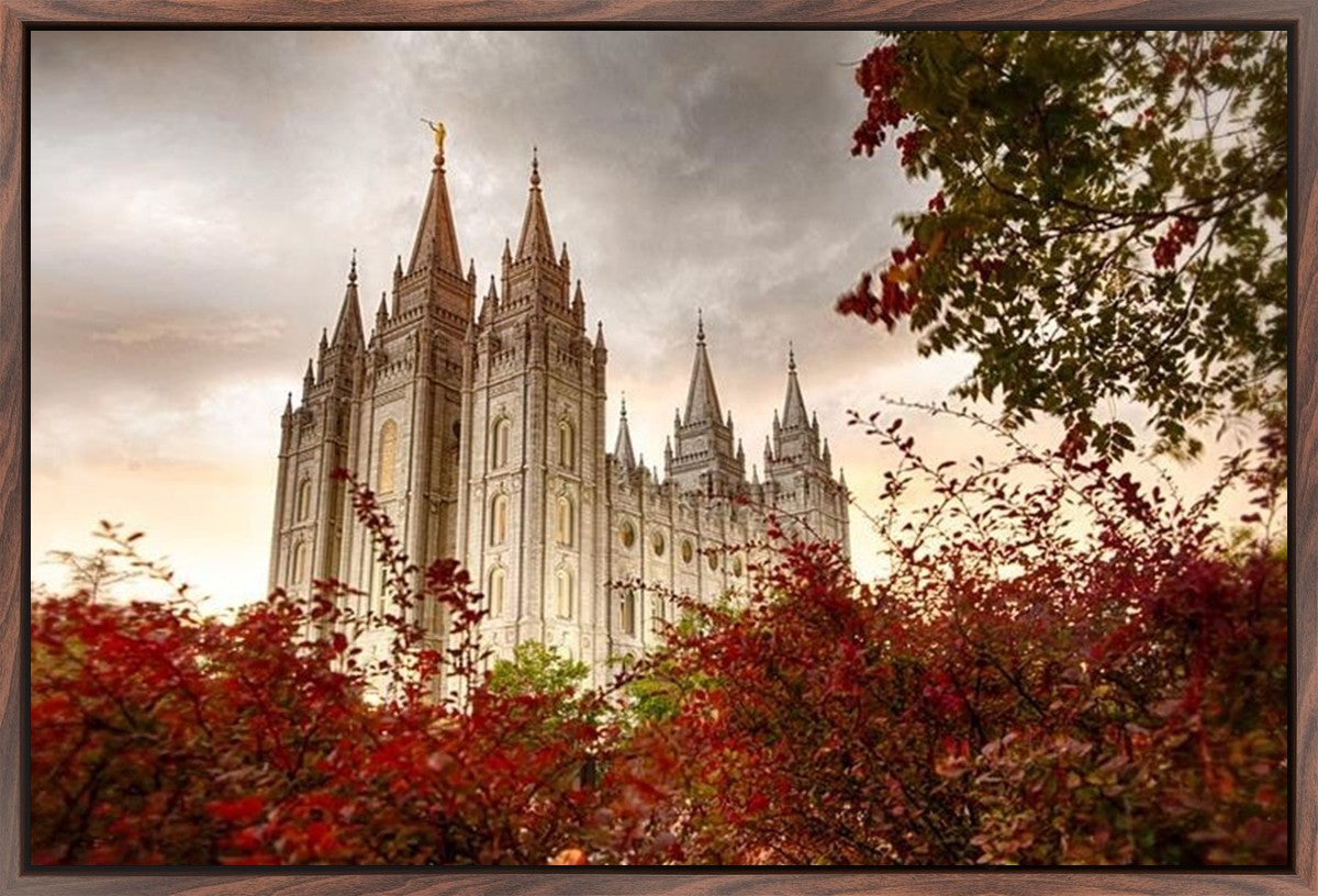 Salt Lake Autumn Trees
