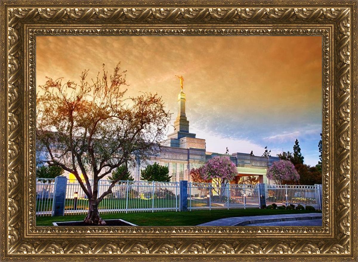 Fresno 03
