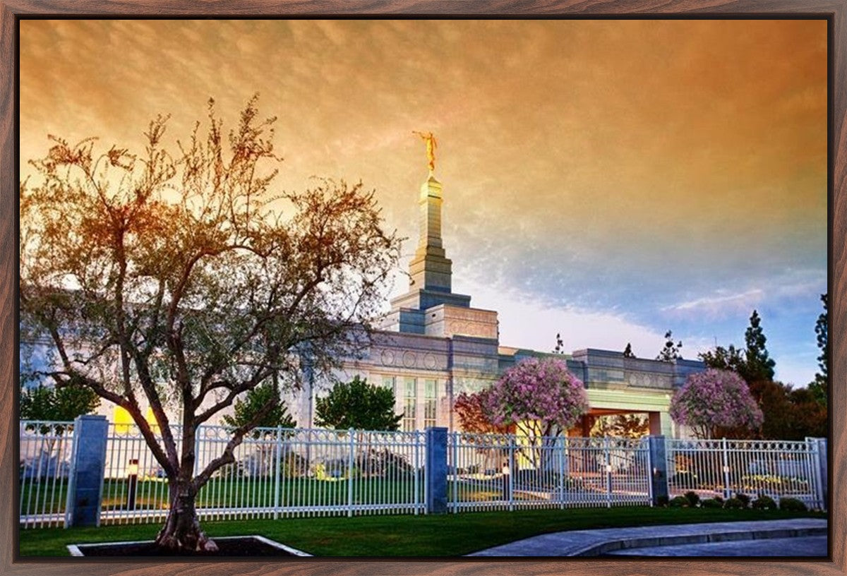 Fresno 03