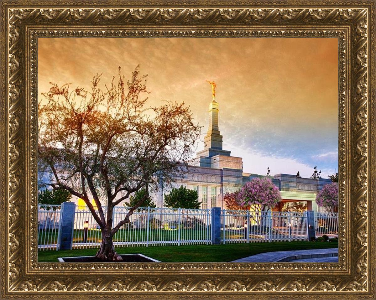 Fresno 03
