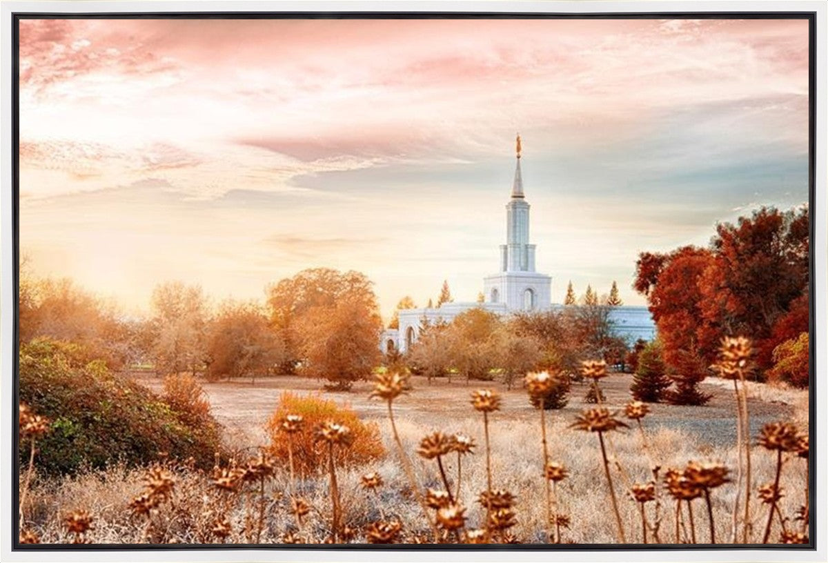 Sacramento 06 Gallery Wrap