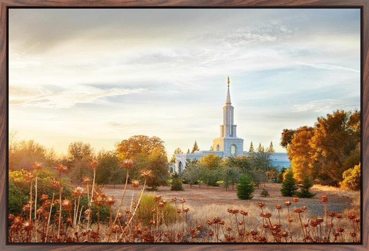 Sacramento 07