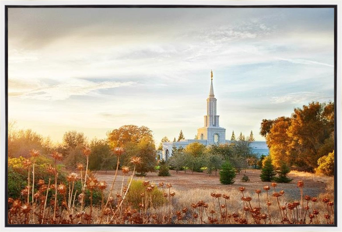 Sacramento 07 Gallery Wrap