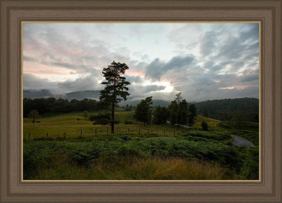 Plate 3 - Tarn Hows Above Ambleside