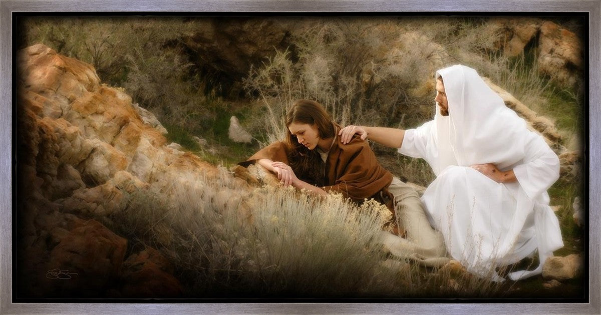 The Comforter