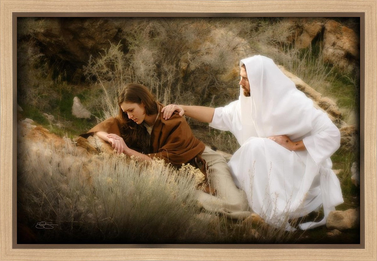 The Comforter