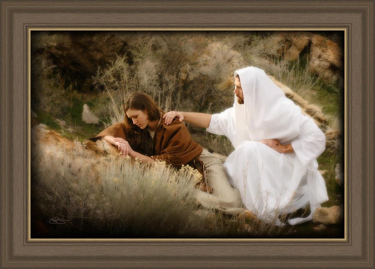 The Comforter