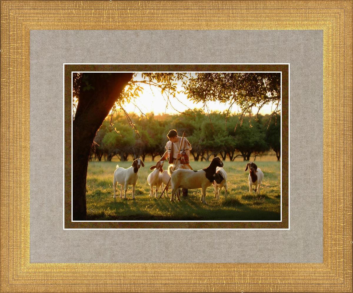 Tending the Flock