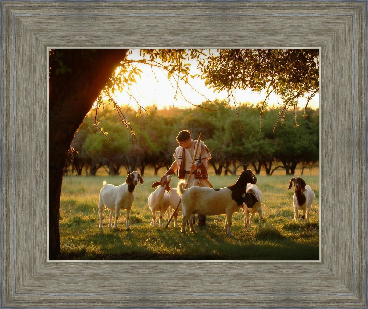 Tending the Flock