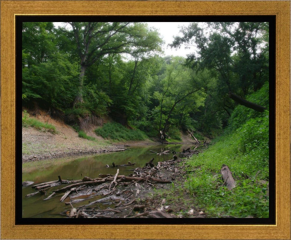 The Creek_Hauns Mill Gallery Wrap