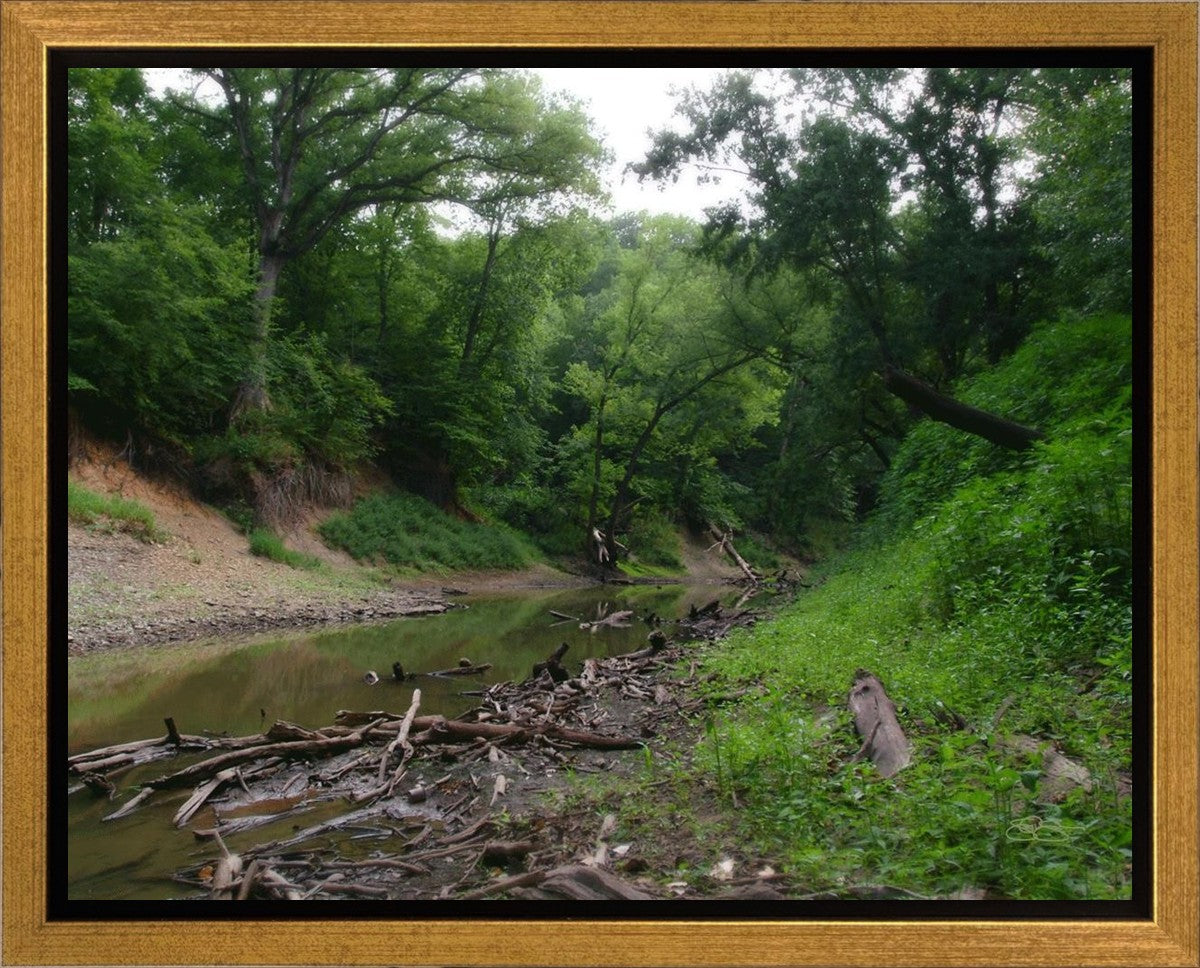 The Creek_Hauns Mill Gallery Wrap