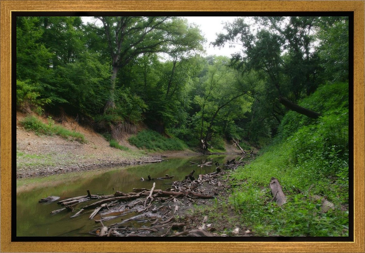 The Creek_Hauns Mill Gallery Wrap