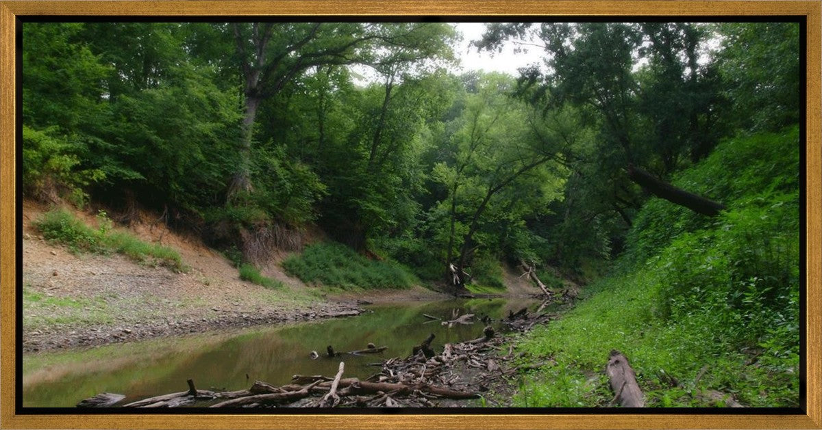 The Creek_Hauns Mill Gallery Wrap