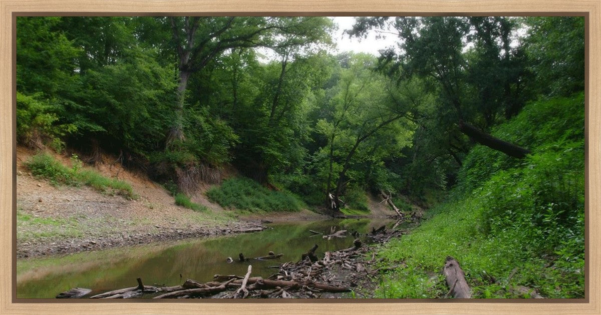 The Creek_Hauns Mill Gallery Wrap
