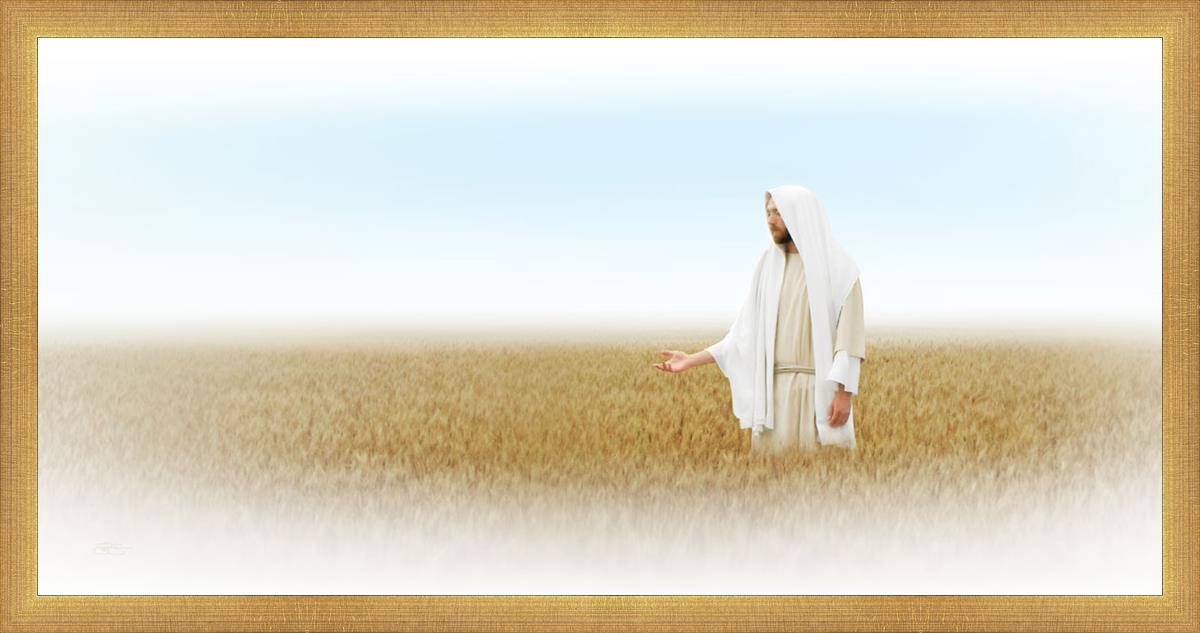 Lord of the Harvest