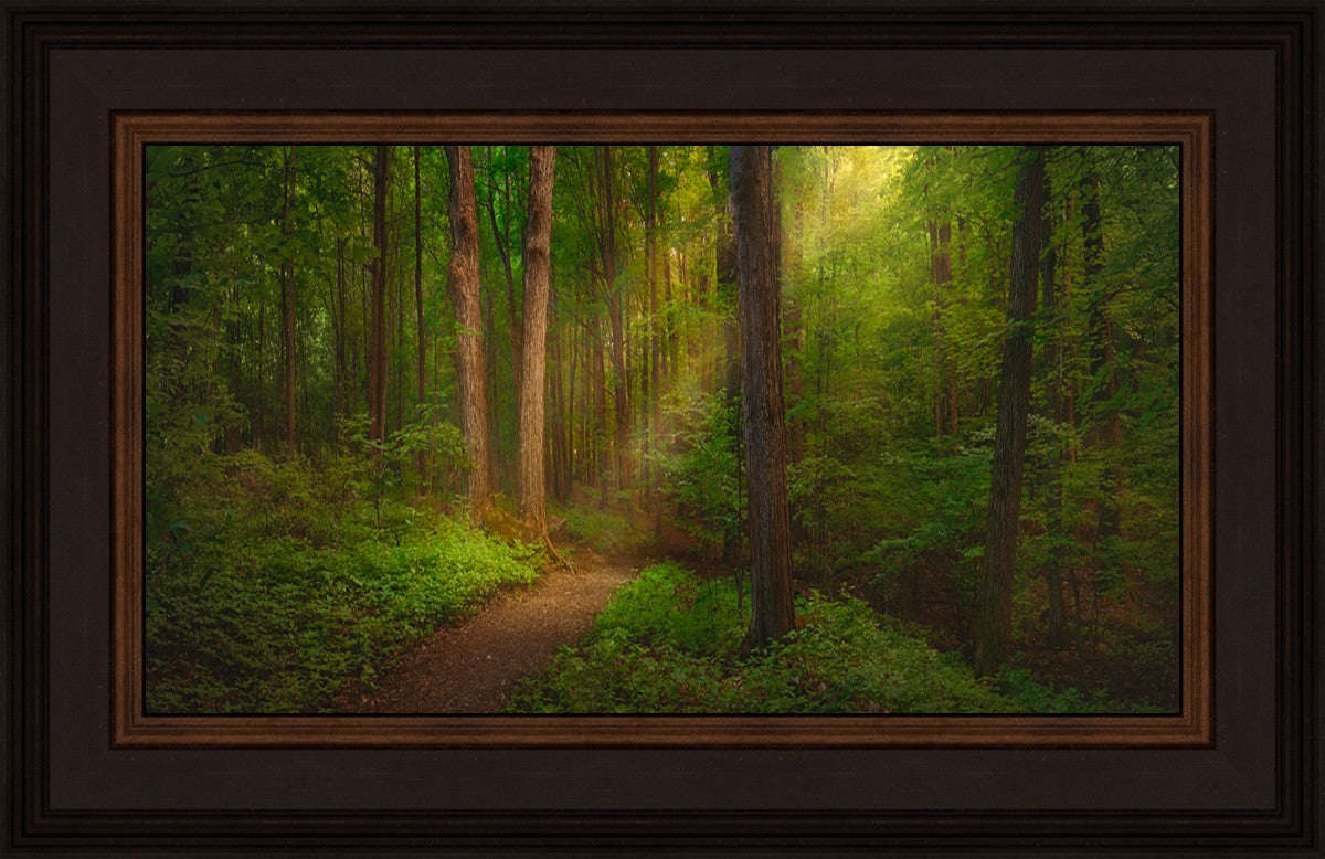 Sacred Grove