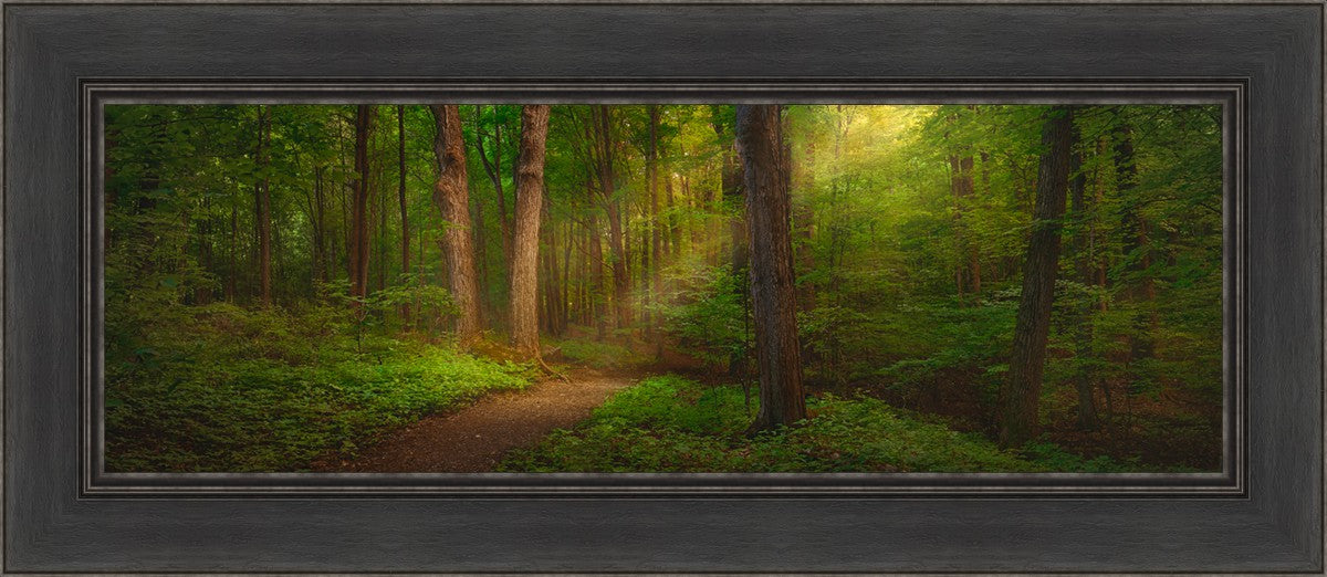 Sacred Grove