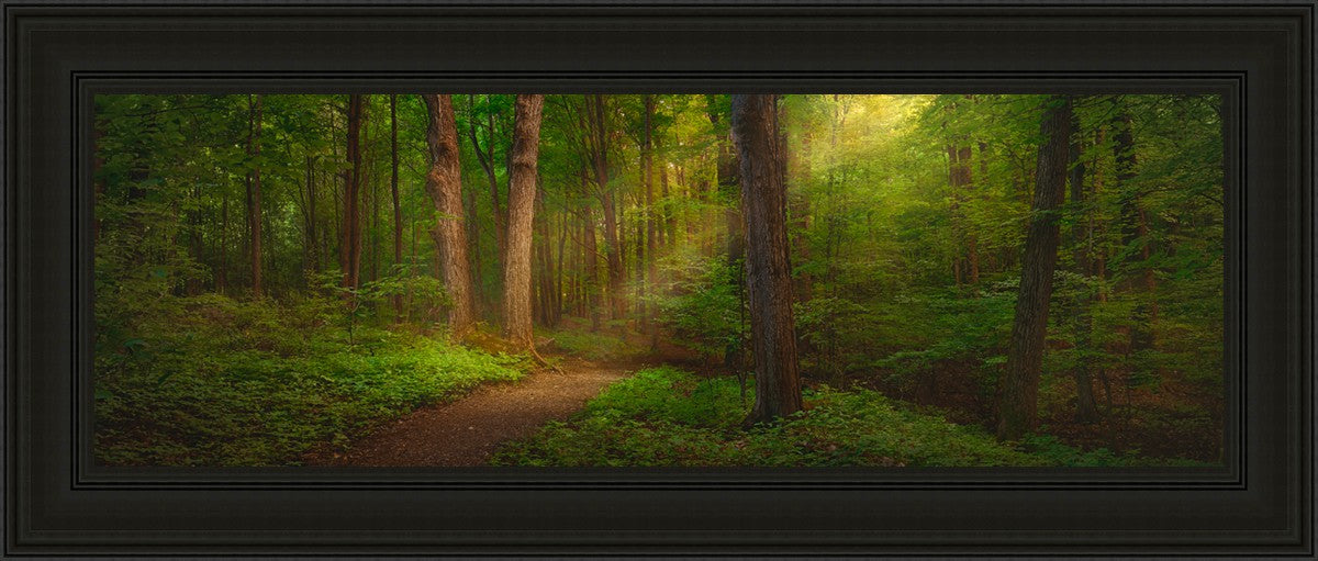 Sacred Grove
