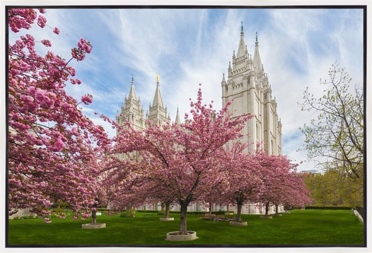 Salt Lake Spring Blossoms