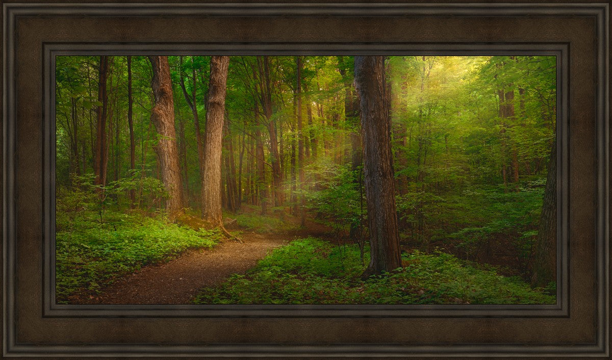 Sacred Grove
