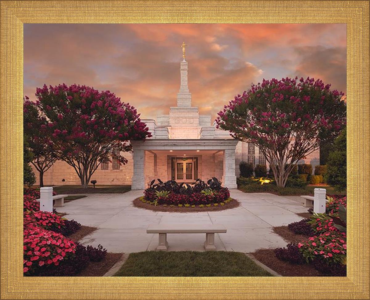 Raleigh Splendor