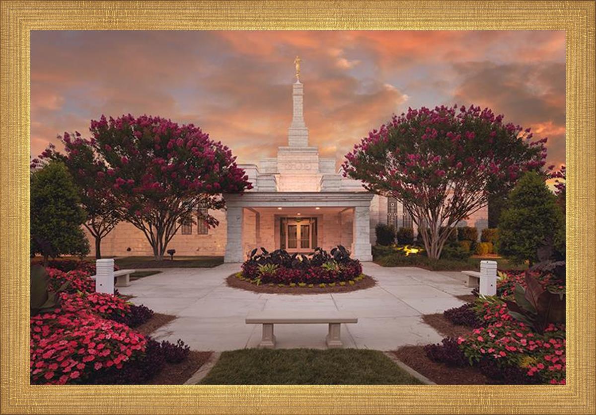 Raleigh Splendor