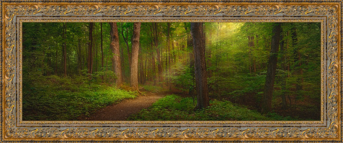 Sacred Grove