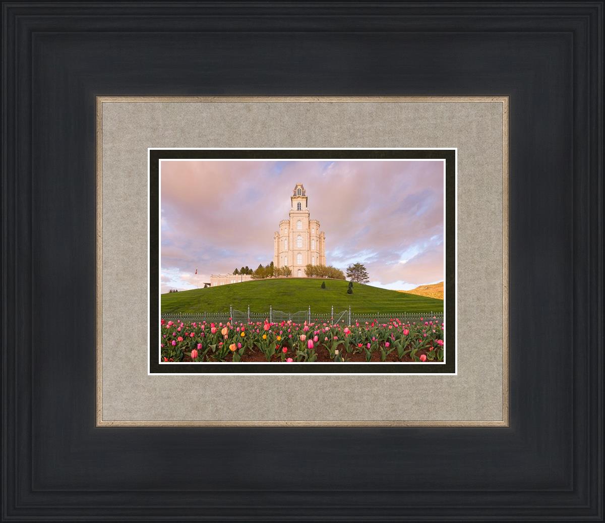 Manti Mount of Zion