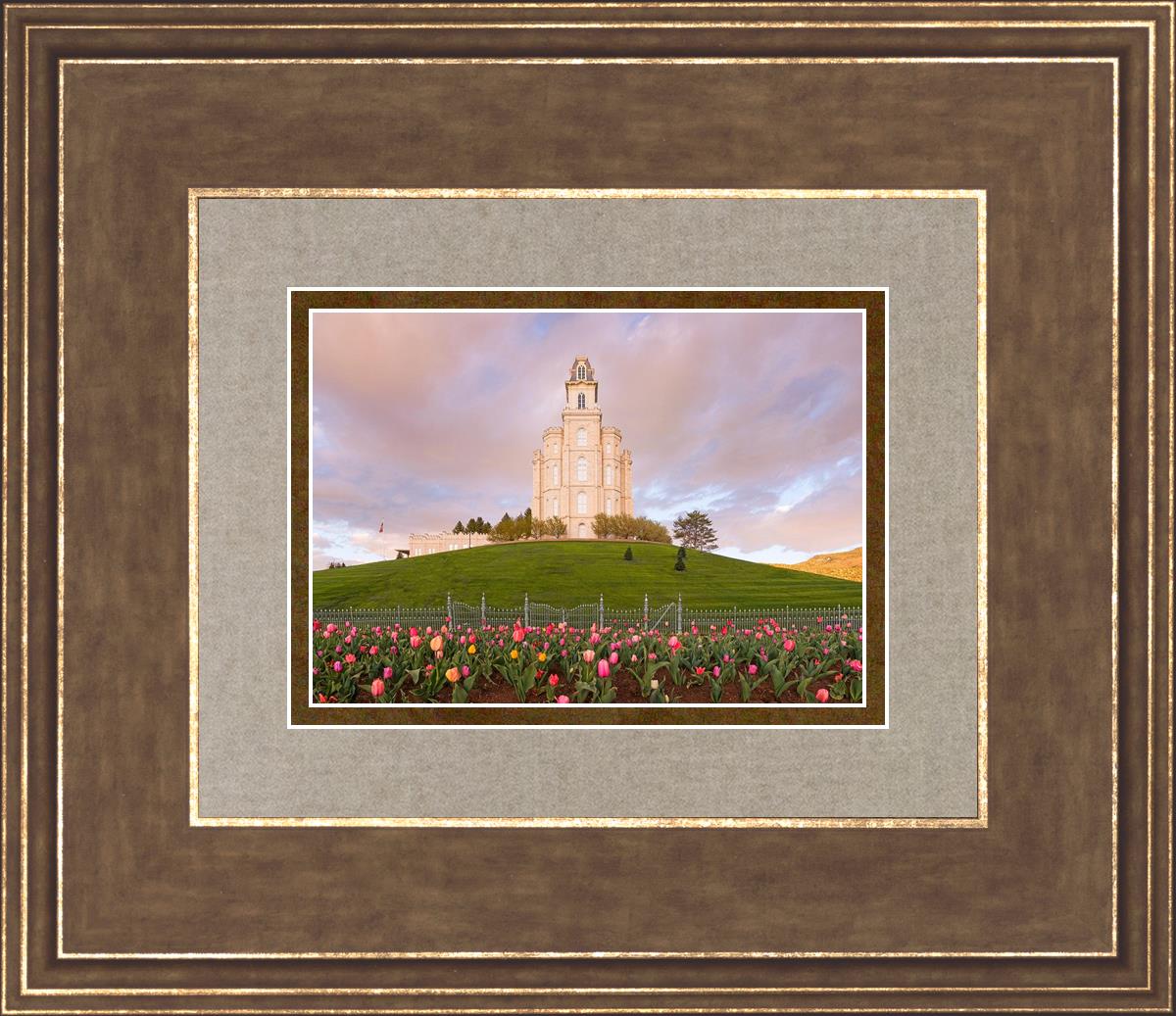 Manti Mount of Zion