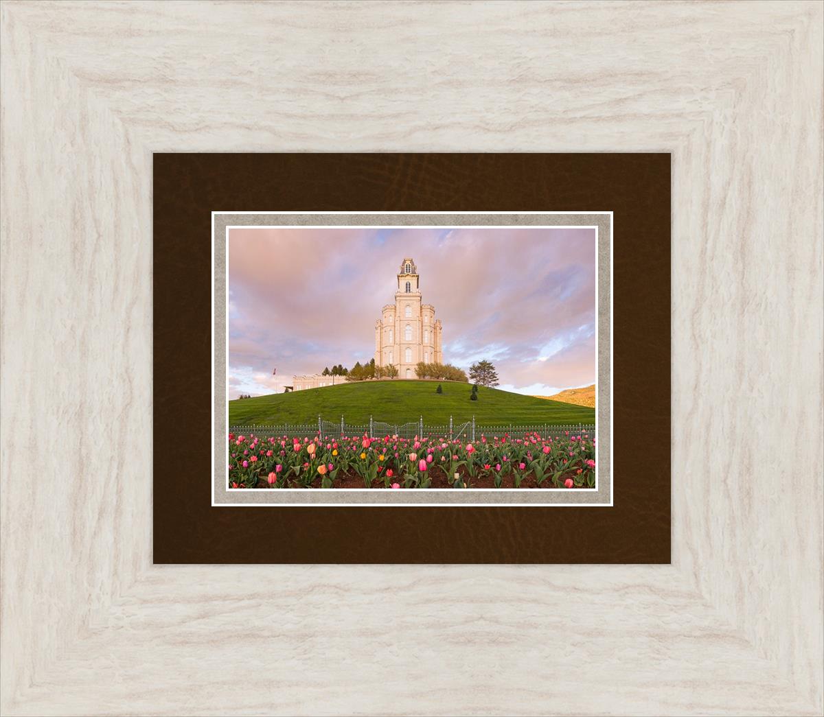 Manti Mount of Zion