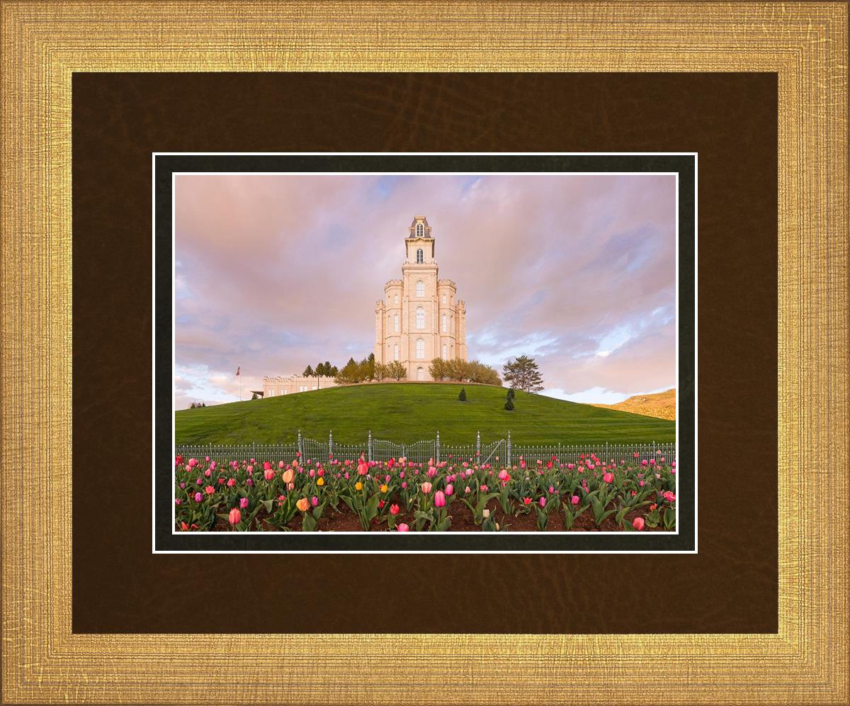 Manti Mount of Zion