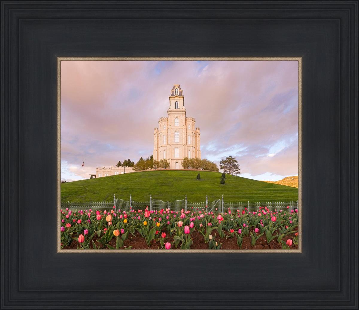 Manti Mount of Zion