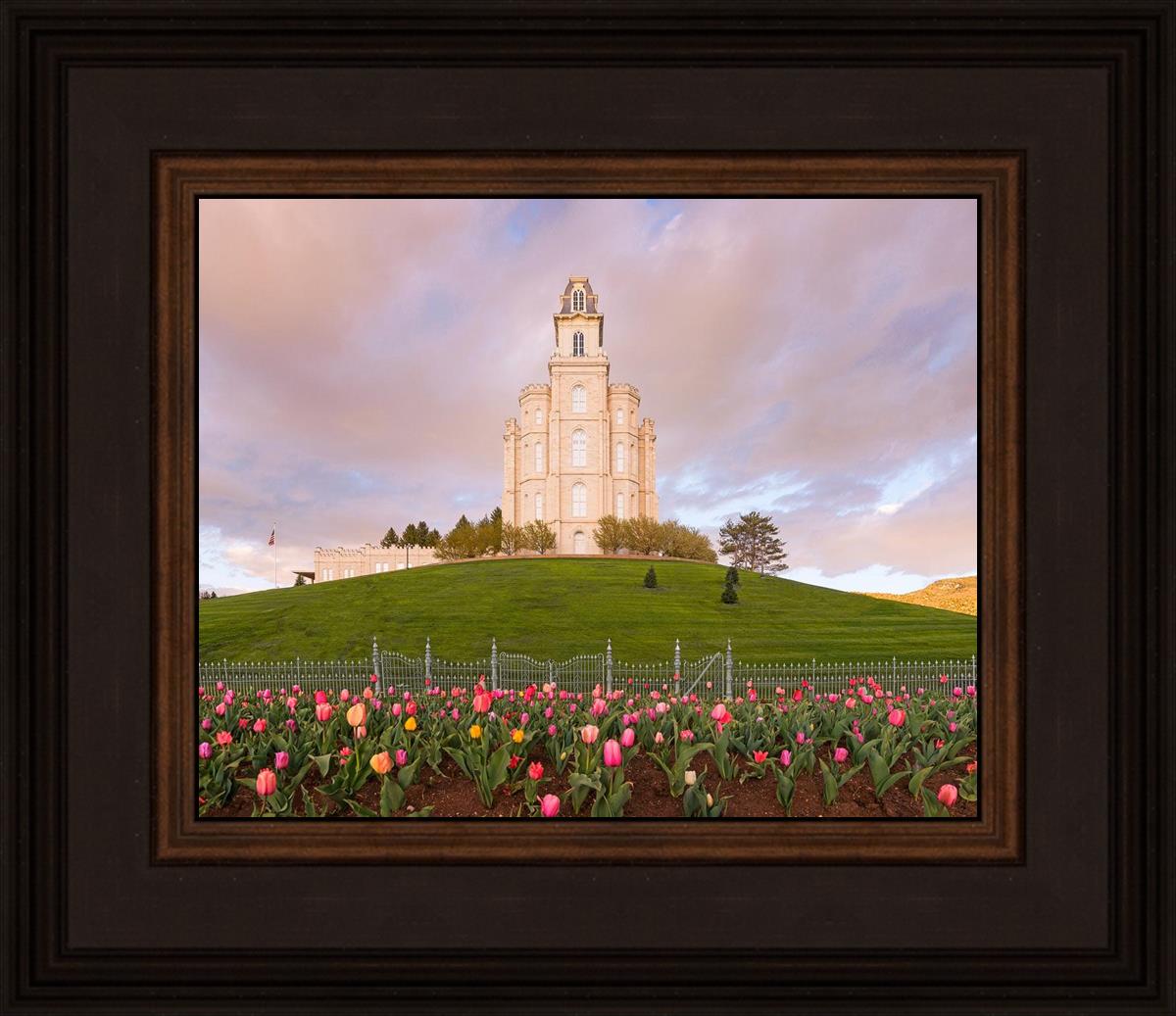 Manti Mount of Zion