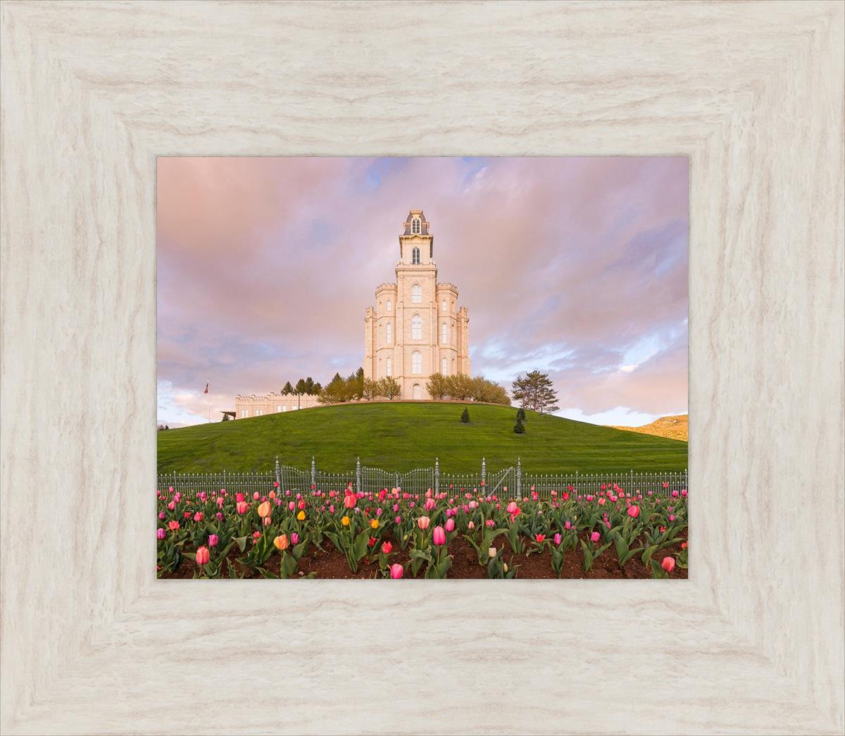 Manti Mount of Zion