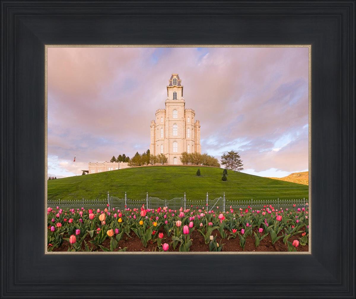 Manti Mount of Zion