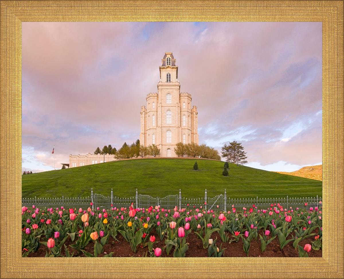 Manti Mount of Zion