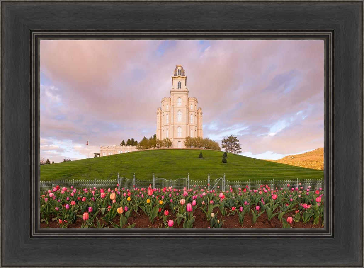 Manti Mount of Zion