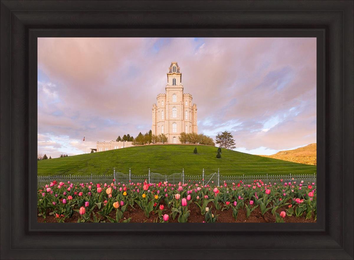 Manti Mount of Zion