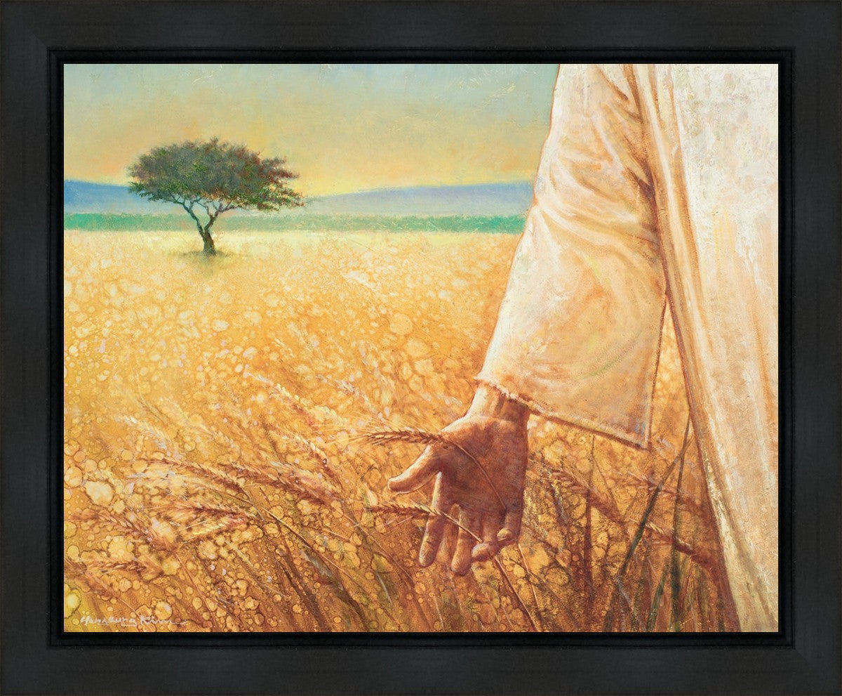 Wheat and Tares