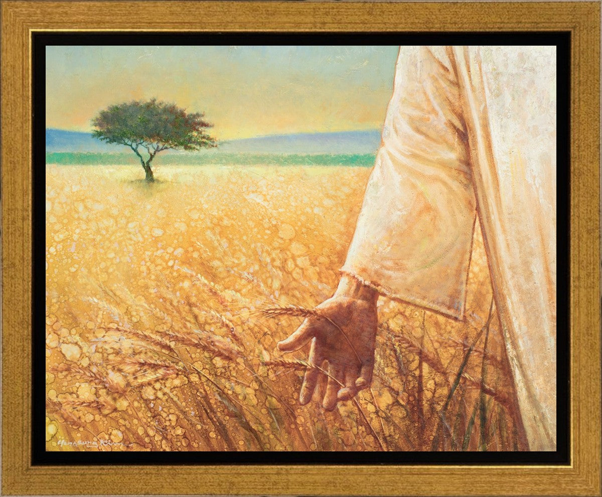 Wheat and Tares
