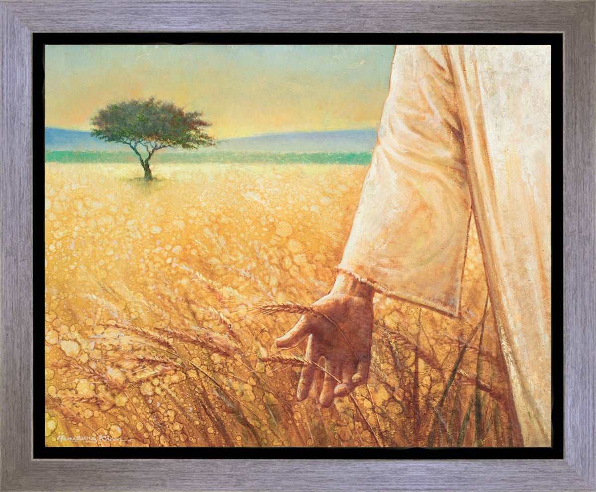 Wheat and Tares